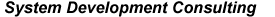 System Development Consulting