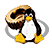 Installation Instructions for Linux