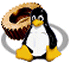 WinDriver Linux