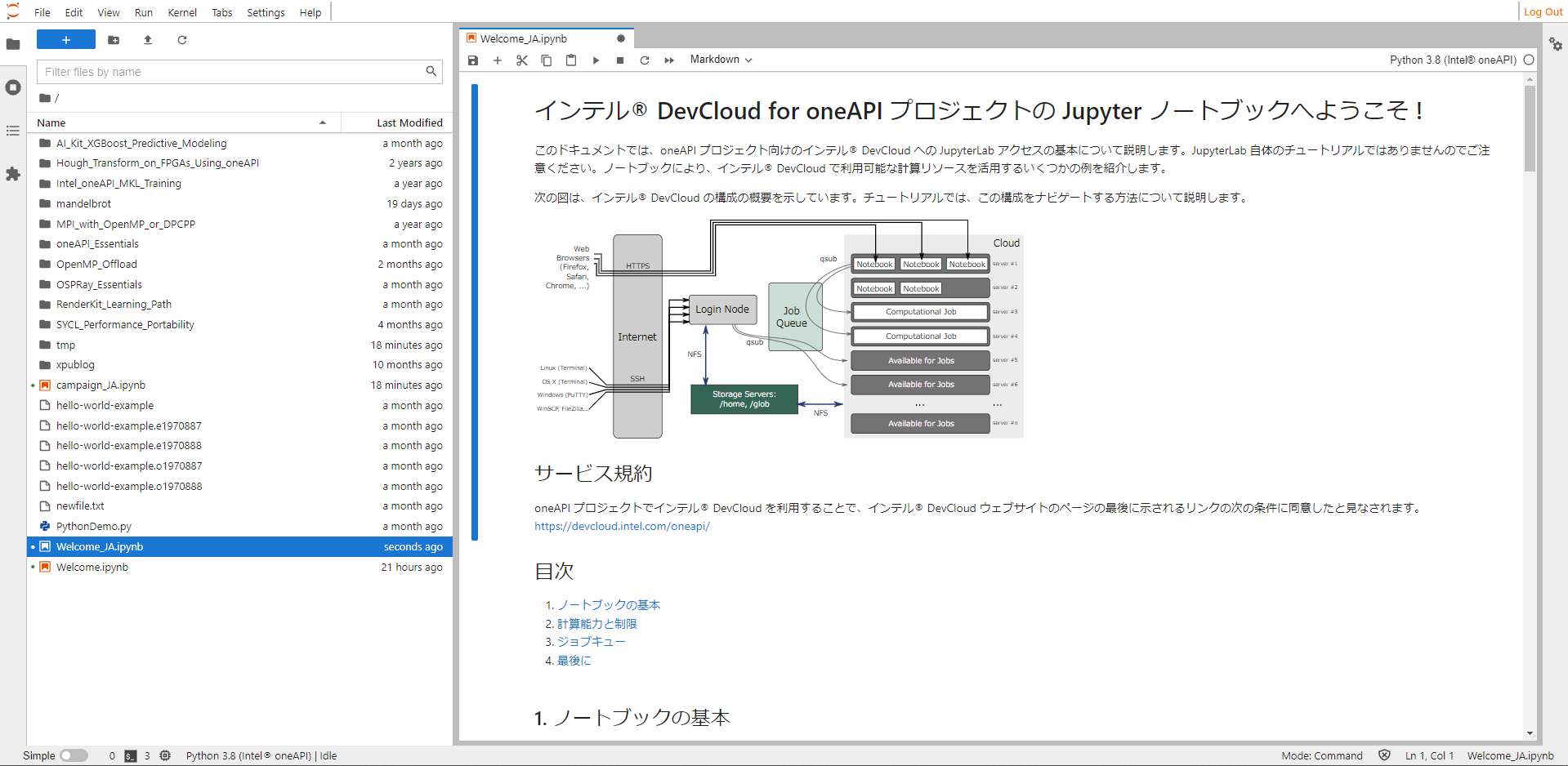 インテル DevCloud for oneAPI 向けの日本語パッケージのご案内