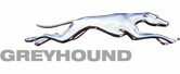 Greyhound