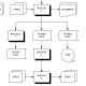 Sample of a Physical Flow Chart