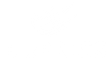 BI xPress